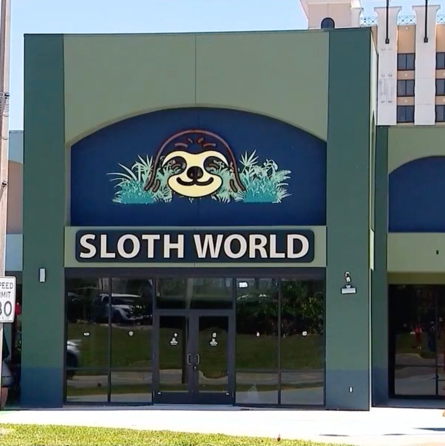 31 Sloths Die at Florida Animal Attraction