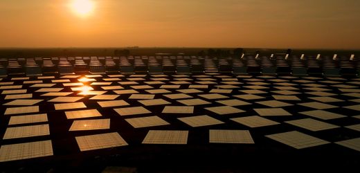 The Energy Shock — and an Unexpected Buffer