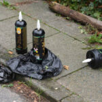 Big-Game Hunter Killed by Elephants in Central Africa