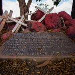 India and New Zealand Sign Landmark Free Trade Deal