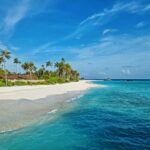 UAE Exits OPEC: A “Win” for Trump, a Question Mark for Oil Markets