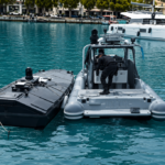 France on Alert: Cruise Ship Quarantined, Health Minister Grilled on Hantavirus
