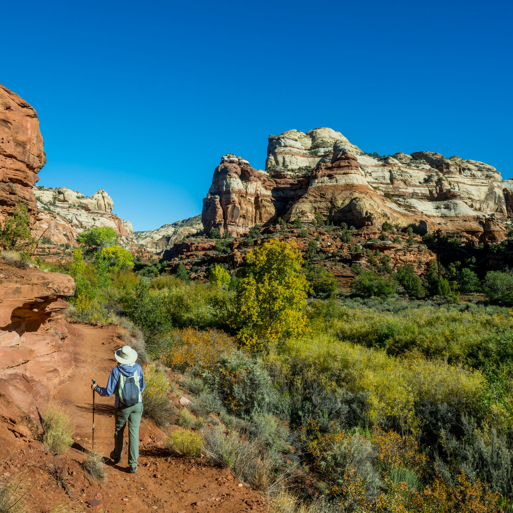 Trump Slashes Two Utah National Monuments by Over 90%